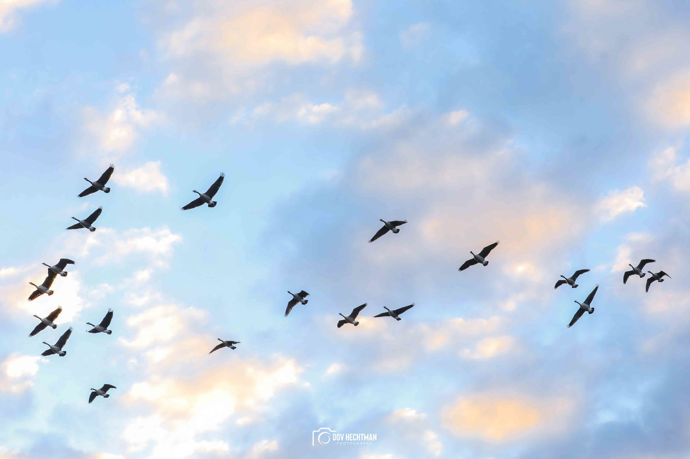 מפלי הניאגרה