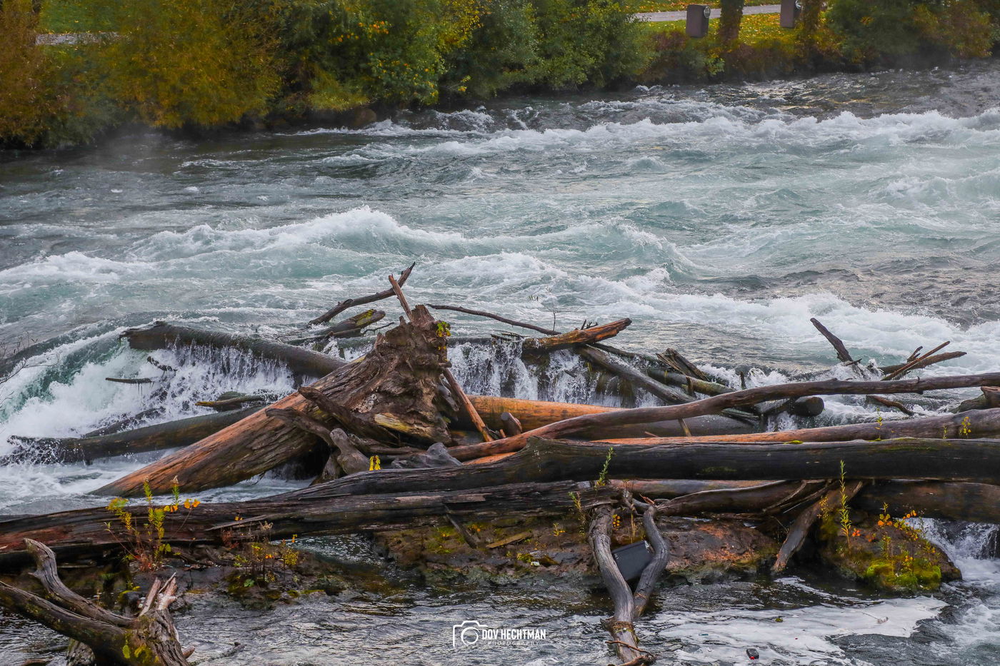 מפלי הניאגרה