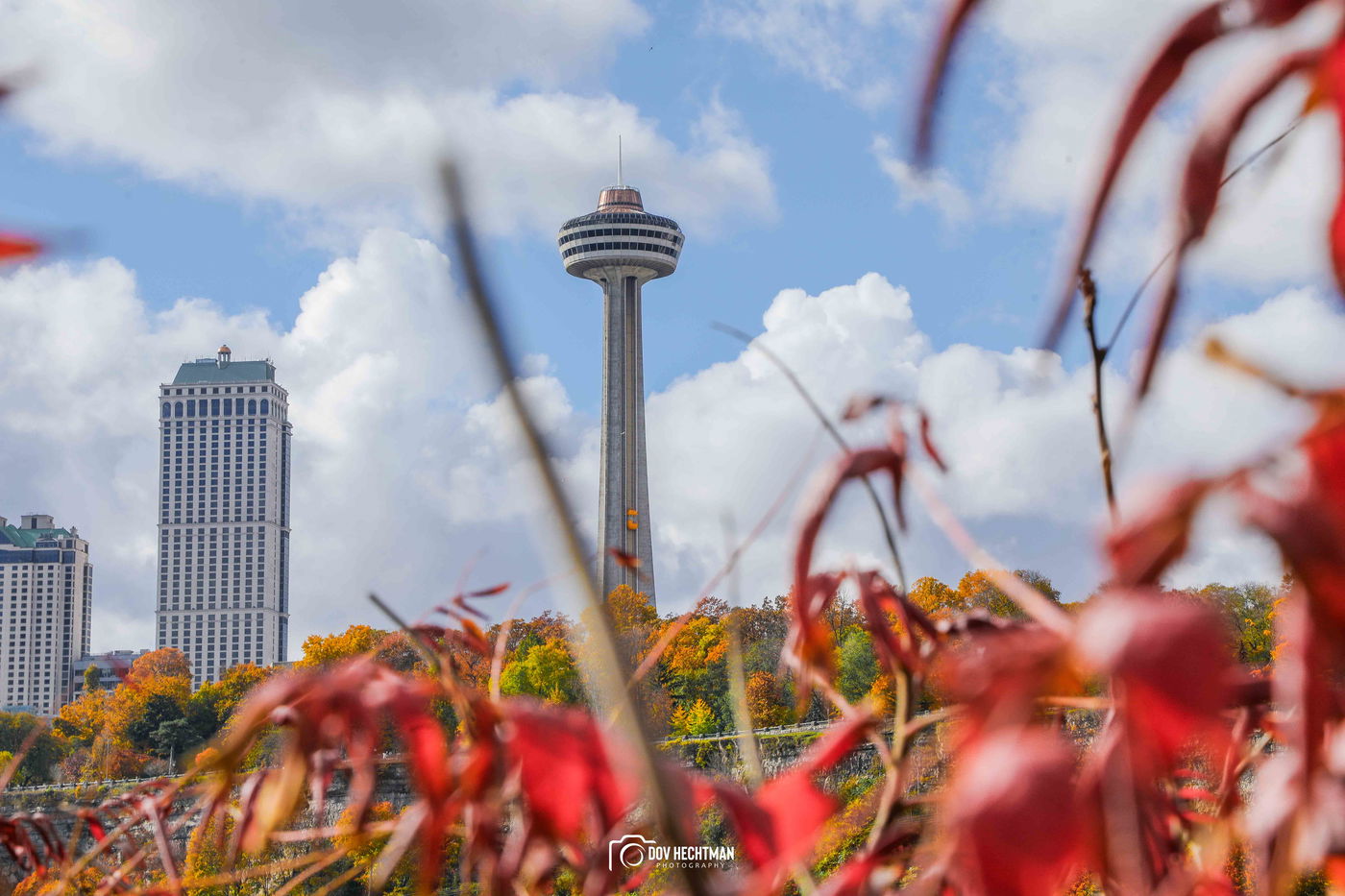 מפלי הניאגרה