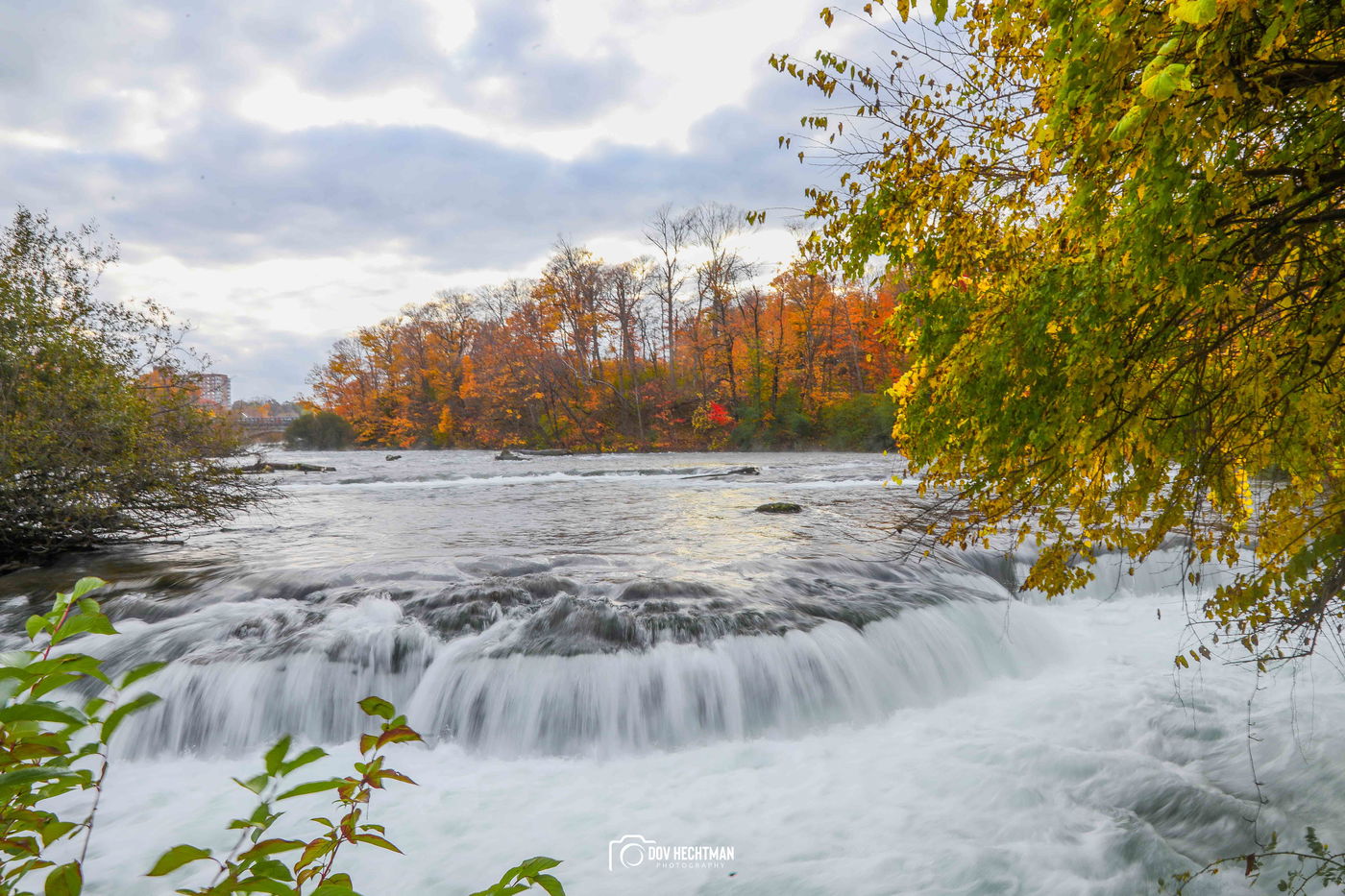 מפלי הניאגרה