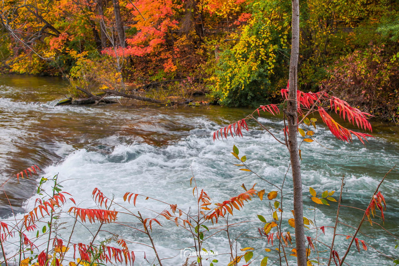 מפלי הניאגרה