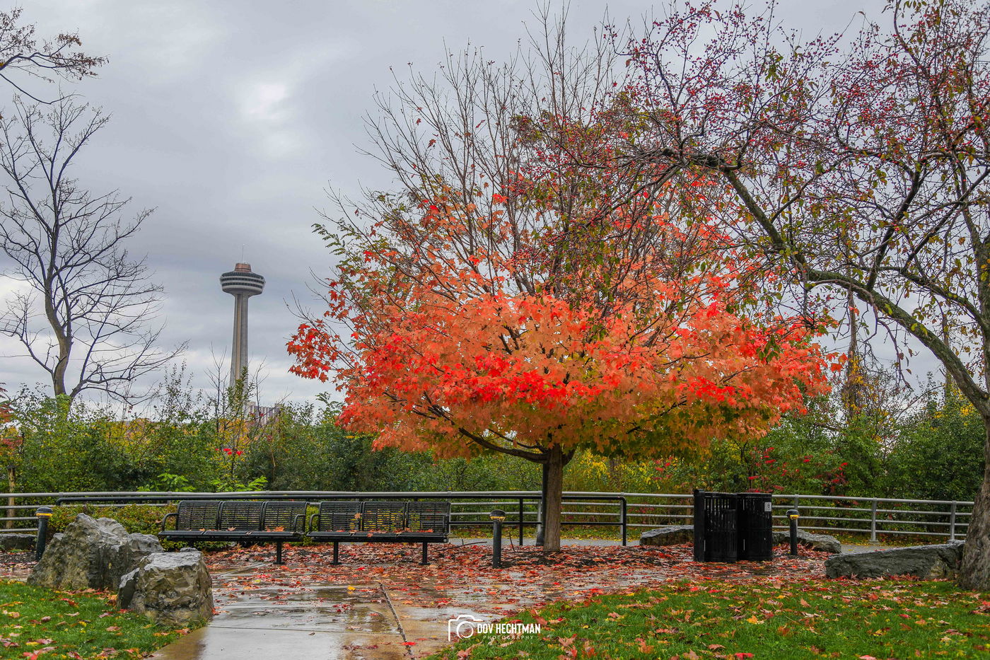 מפלי הניאגרה