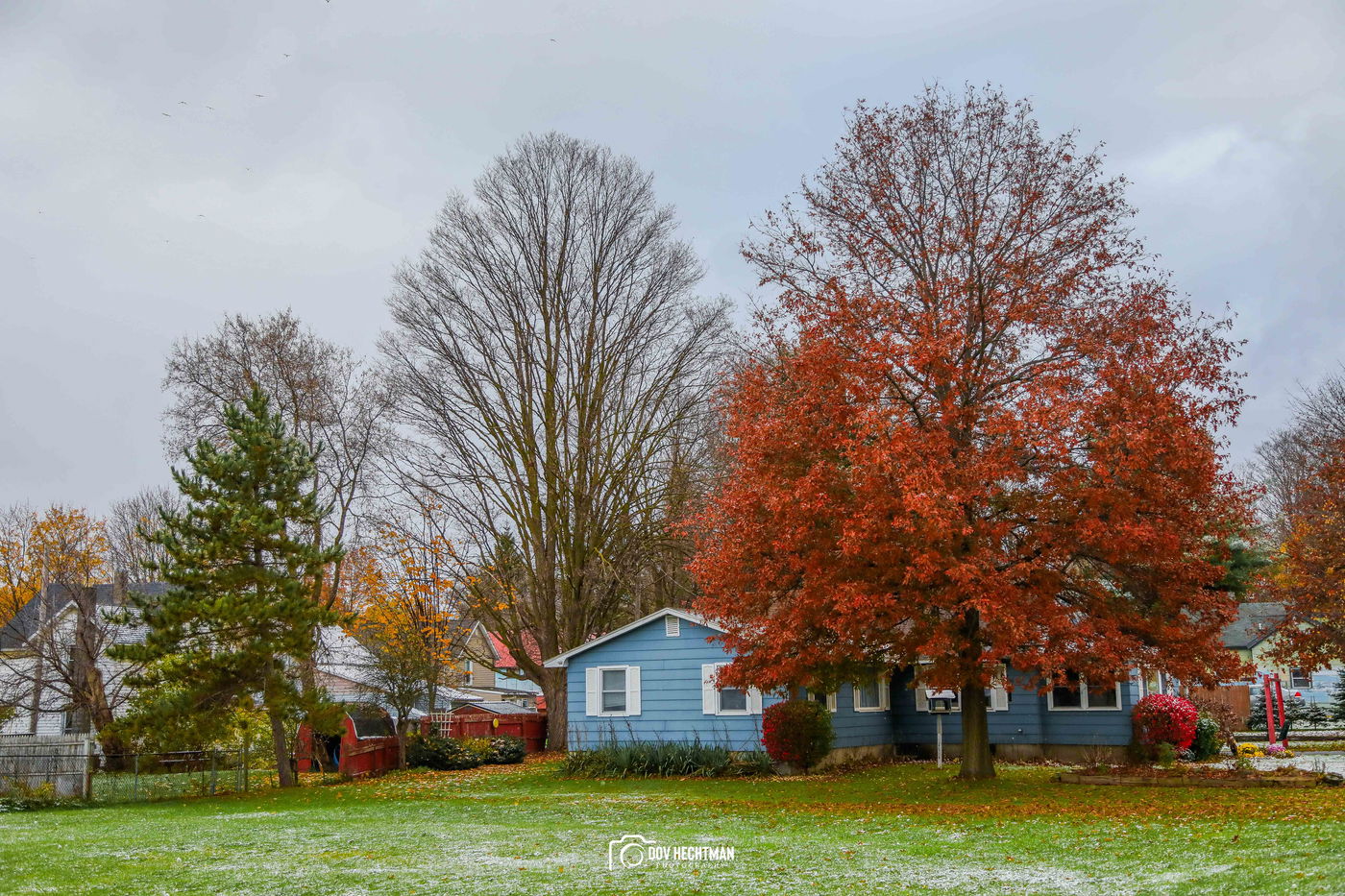 מפלי הניאגרה