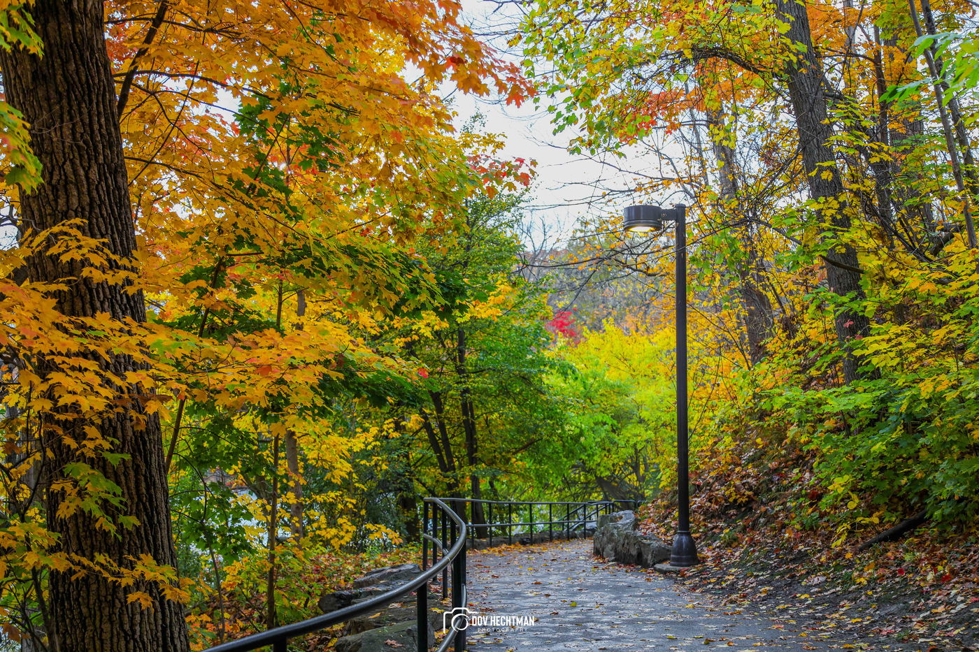 מפלי הניאגרה