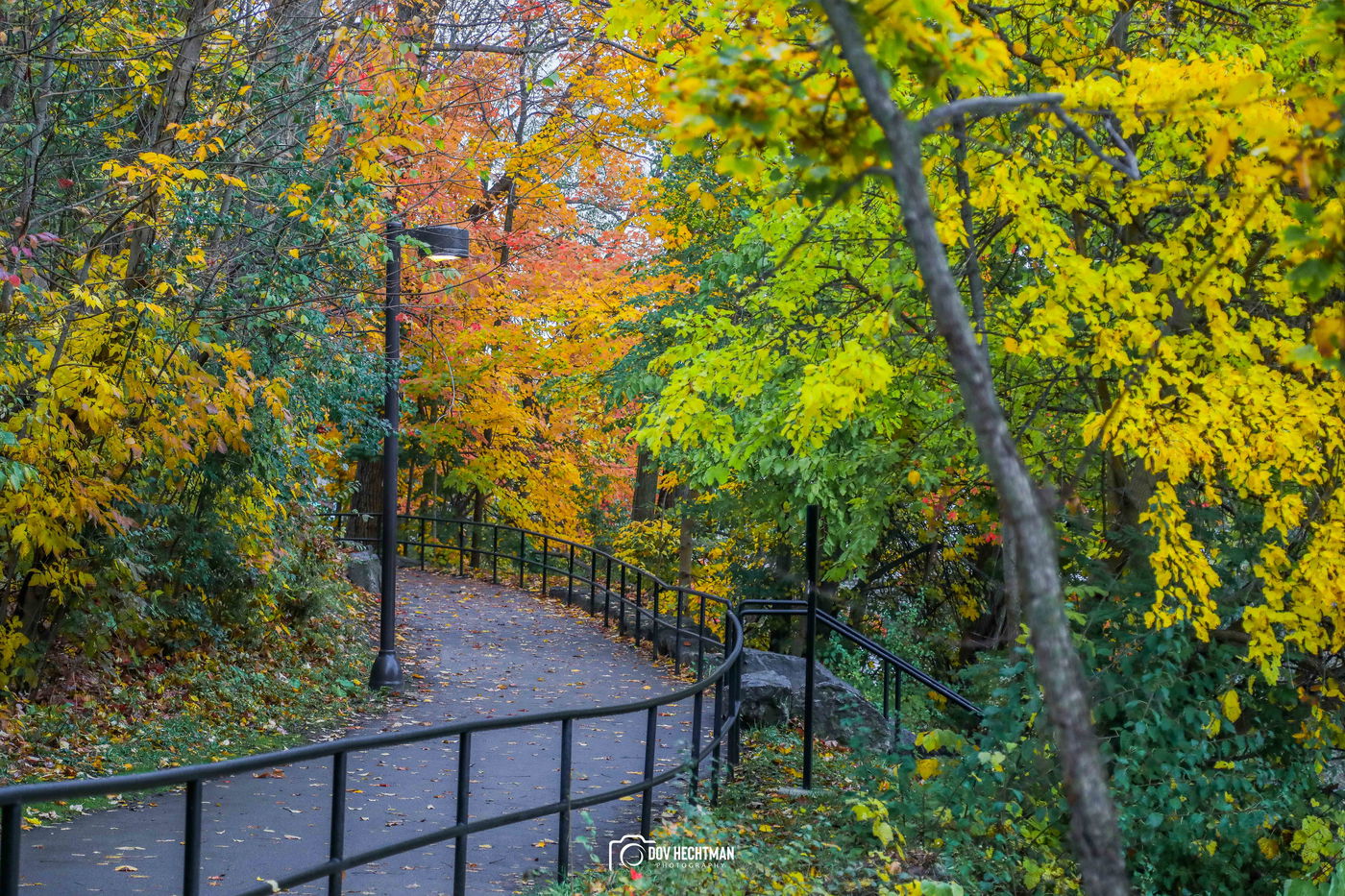 מפלי הניאגרה