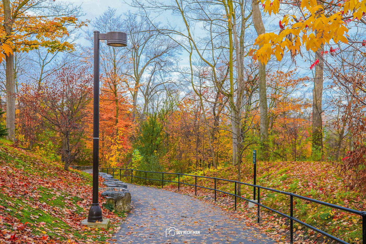 מפלי הניאגרה
