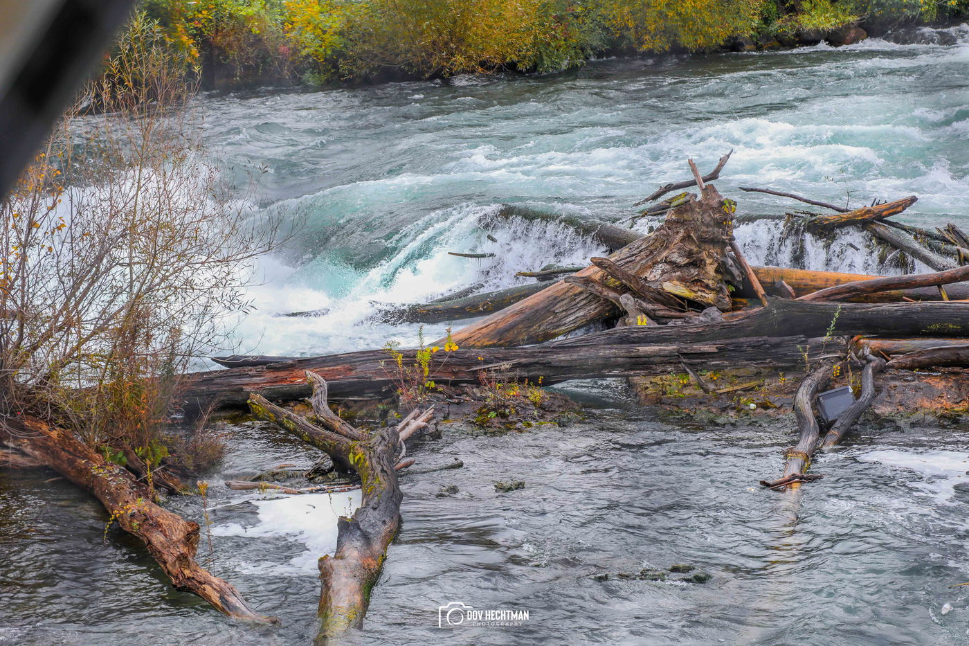 מפלי הניאגרה