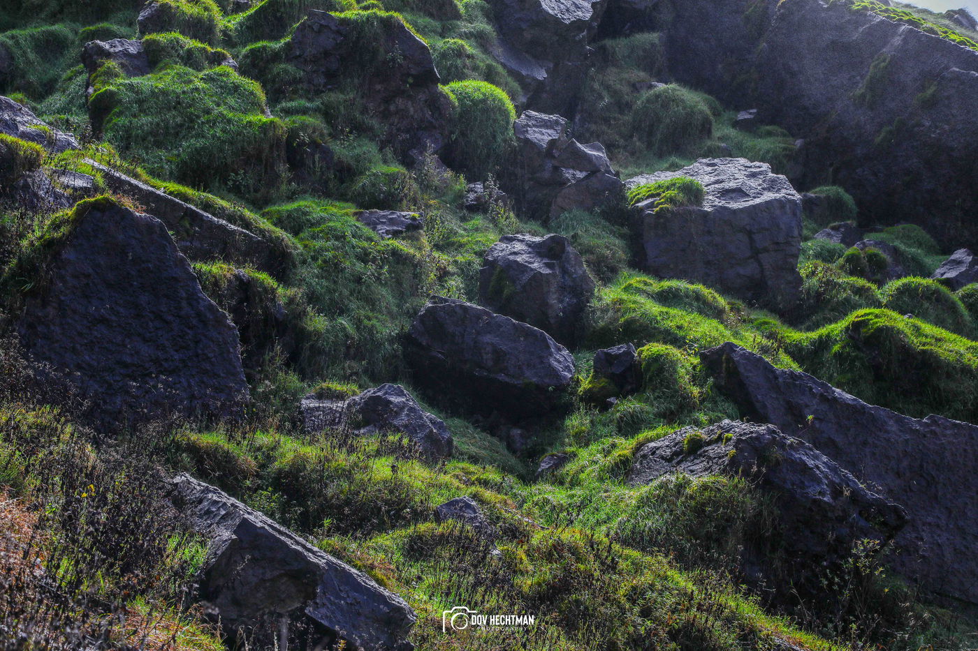 מפלי הניאגרה