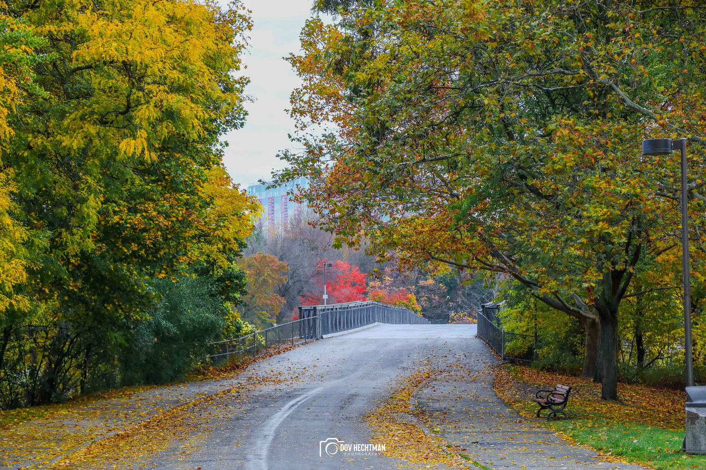מפלי הניאגרה