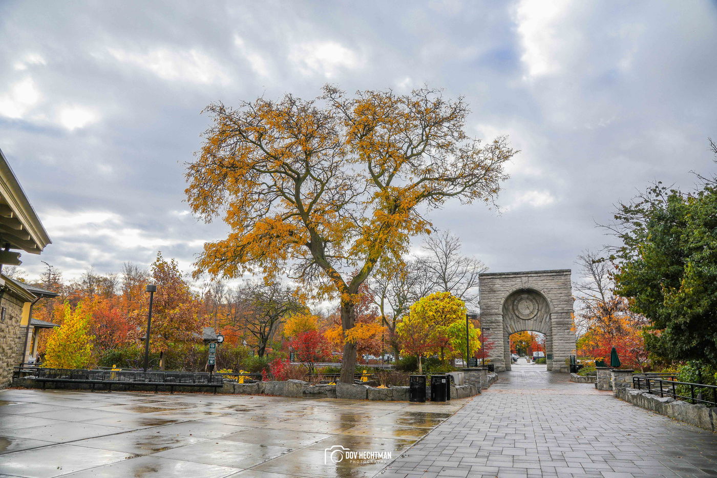 מפלי הניאגרה