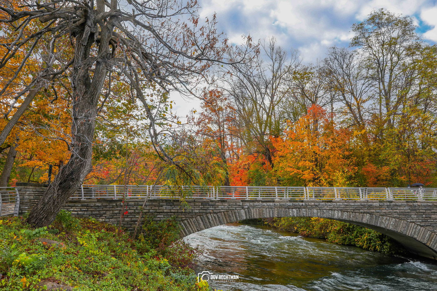 מפלי הניאגרה
