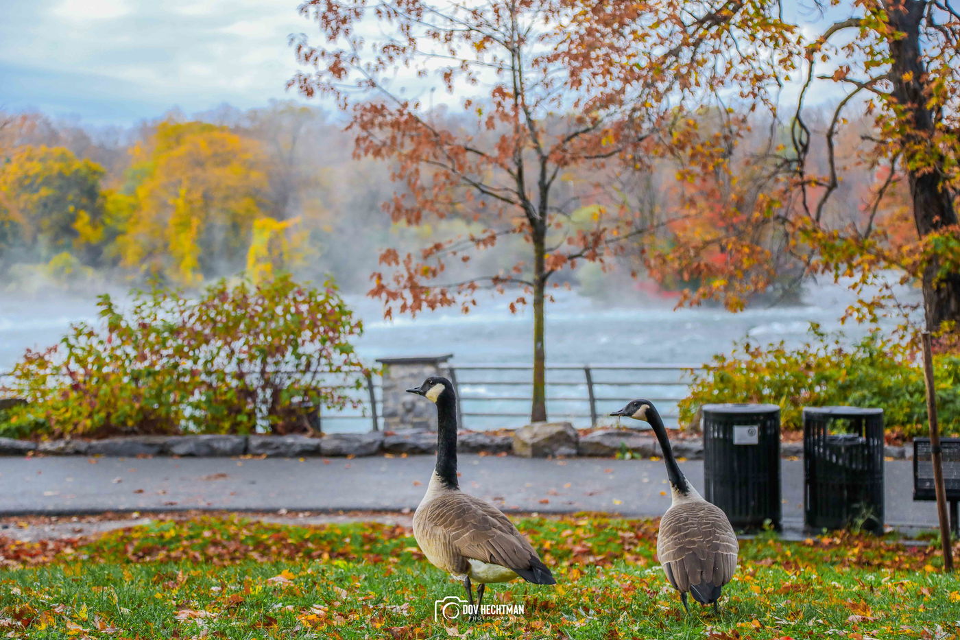 מפלי הניאגרה