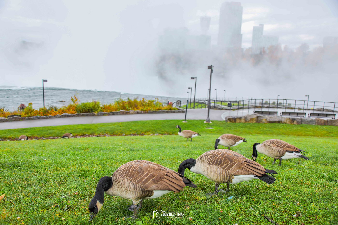 מפלי הניאגרה