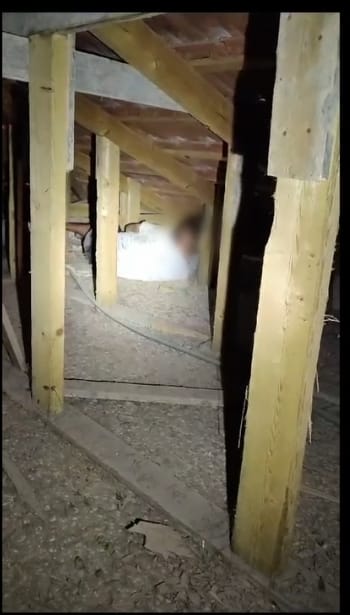 הגנב על הגג