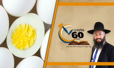 האם מותר לאכול ביצה קלופה שעבר עליה הלילה? • צפו 