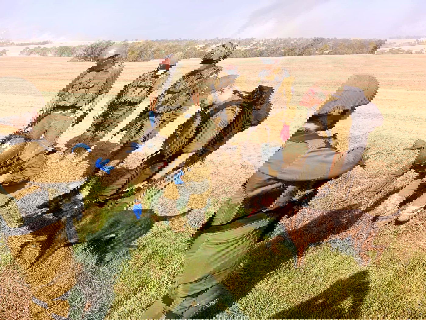 החיפושים אחרי ההרוגים הקדושים בשטח הלחימה