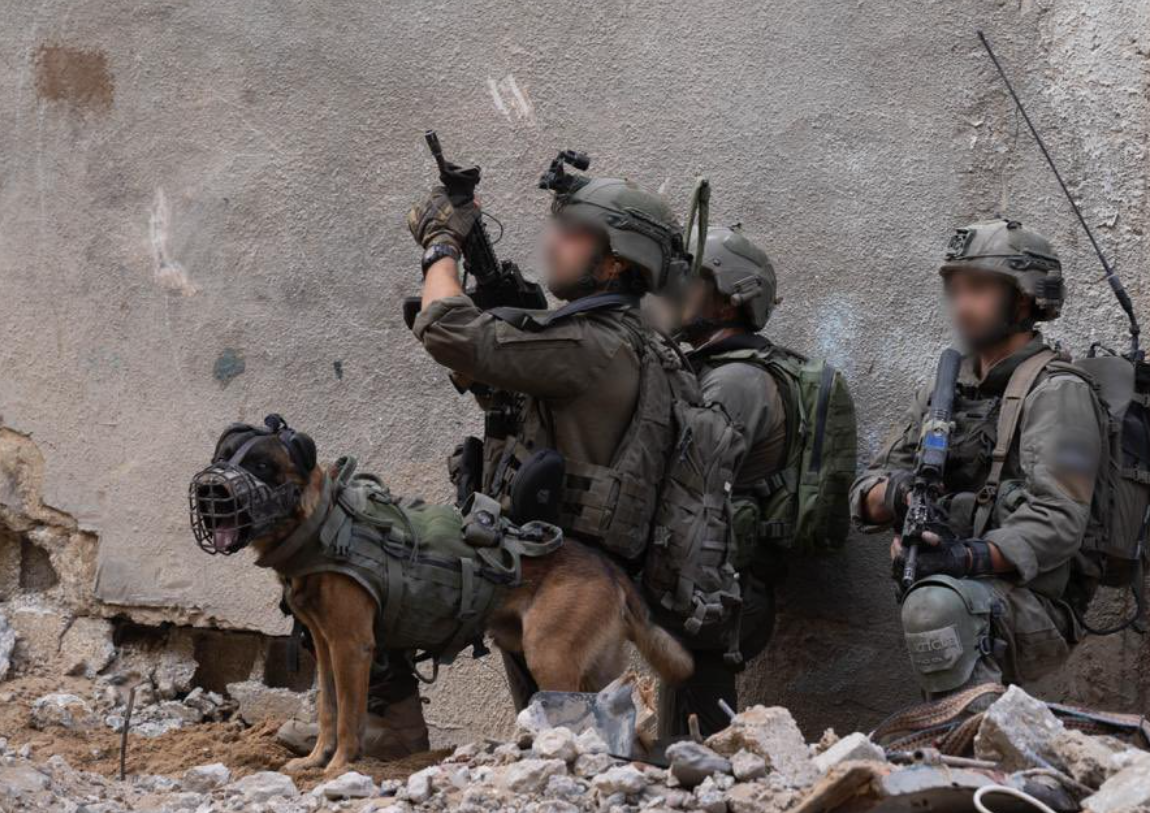 גלריית בוקר: לוחמי צה"ל בלחימה בתוך רצועת עזה | צפו