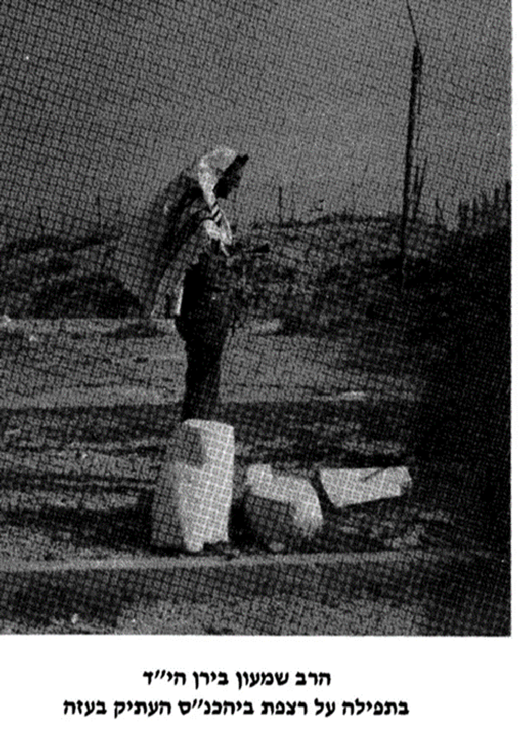 הרב שמשון בירן הי"ד מתפלל על רצפת בית הכנסת העתיק בעזה