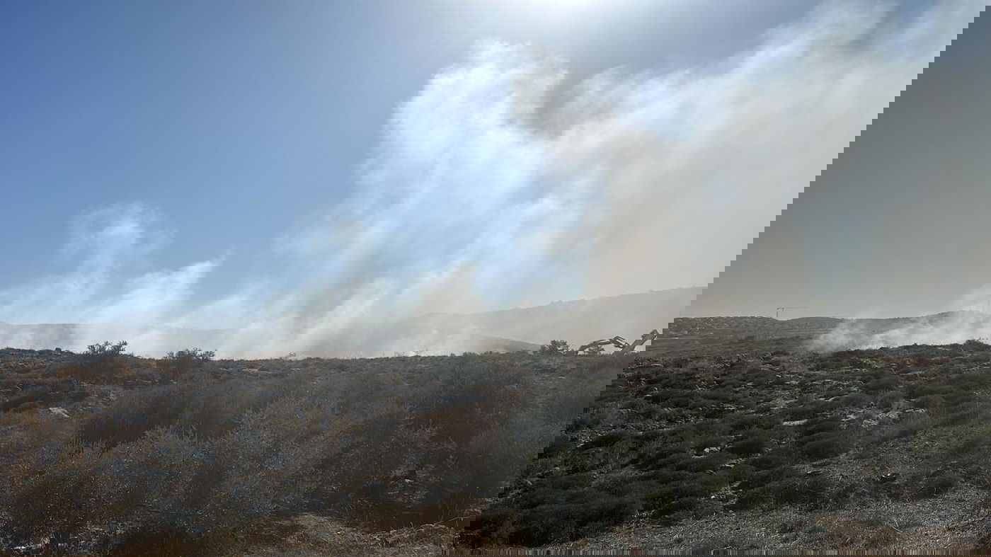 השריפה ברנתיס הבוקר