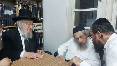 הגר"א לוי בהתייעצות עם הגר"ד לנדו