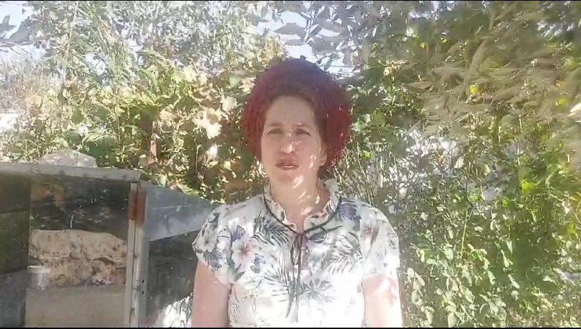 צפו בשרח ליסון 