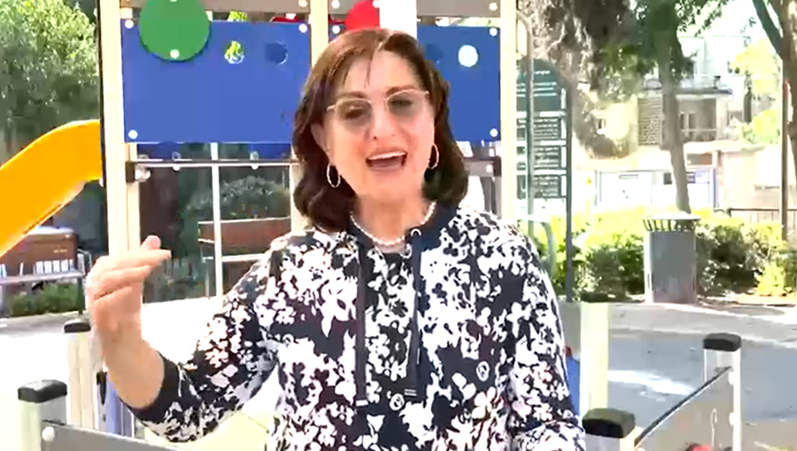הכלים של זיווה מאיר