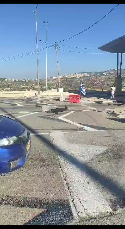 המחבל מנוטרל
