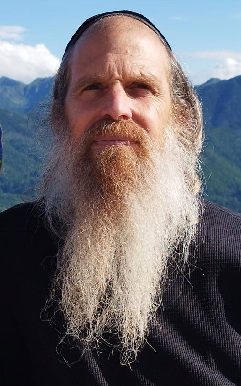 רוני איילון