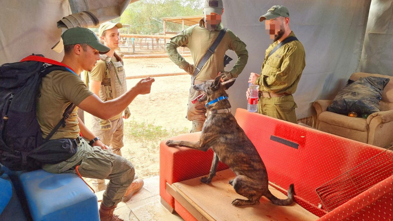 בחיפושים בשטח: מאתרים שרידים וממצאים מהטבח הנורא