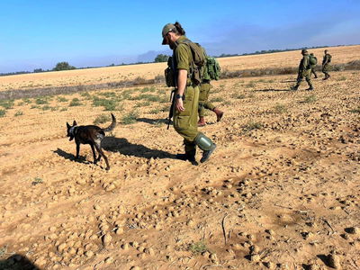 בחיפושים בשטח: מאתרים שרידים וממצאים מהטבח הנורא