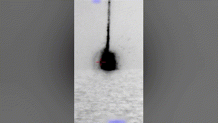 200 פגזים בדקה: זה הנשק הימי הכי מדויק שהרג עשרות מחבלים • צפו