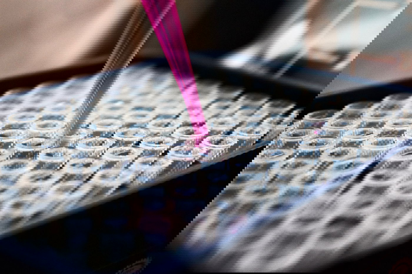 הכומר שזוהה על ידי דגימת DNA ייחודית - והתגלה כיהודי | ריאיון מפעים