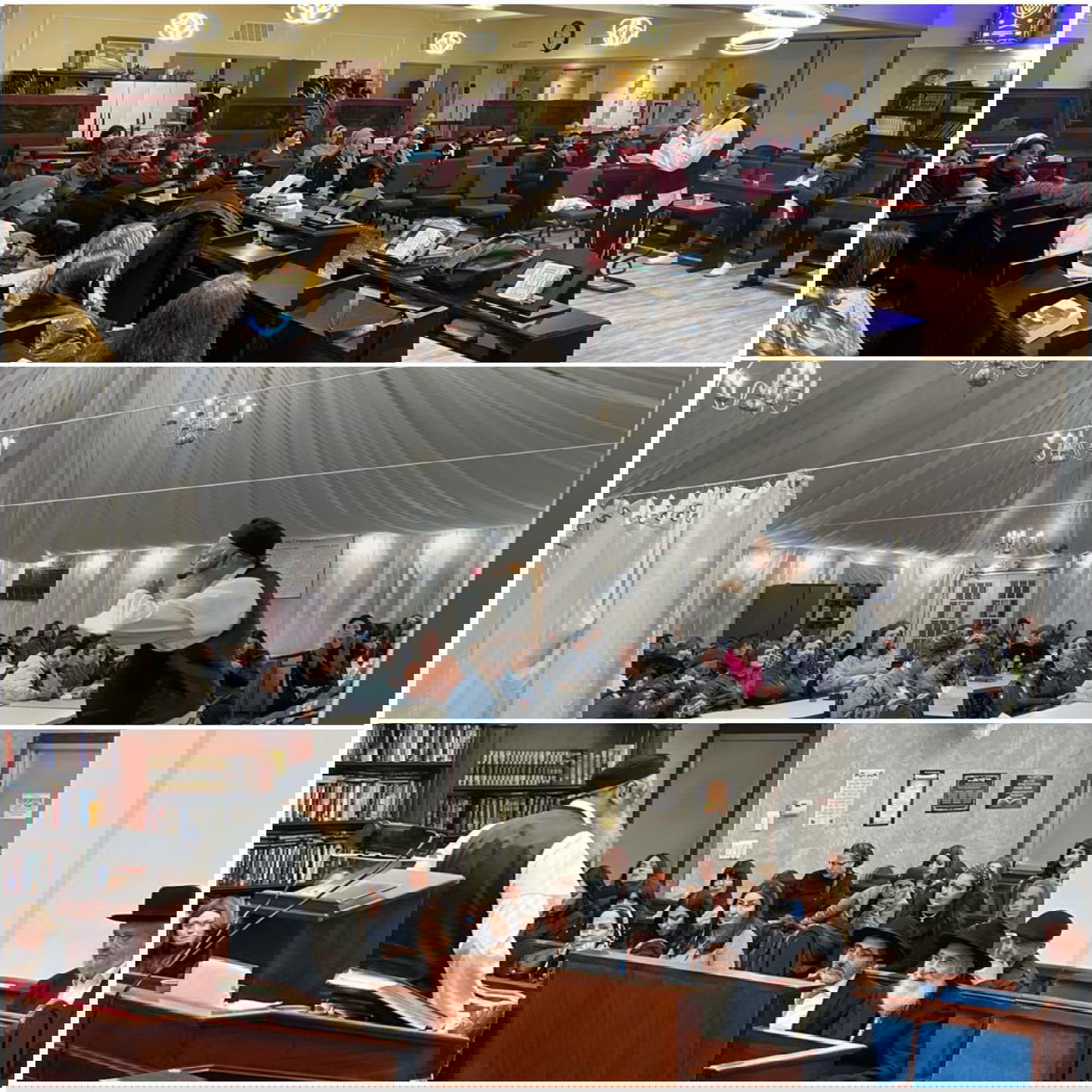 זופניק בכיכר • כל התמונות, הנייעס והחשיפות של המלחמה