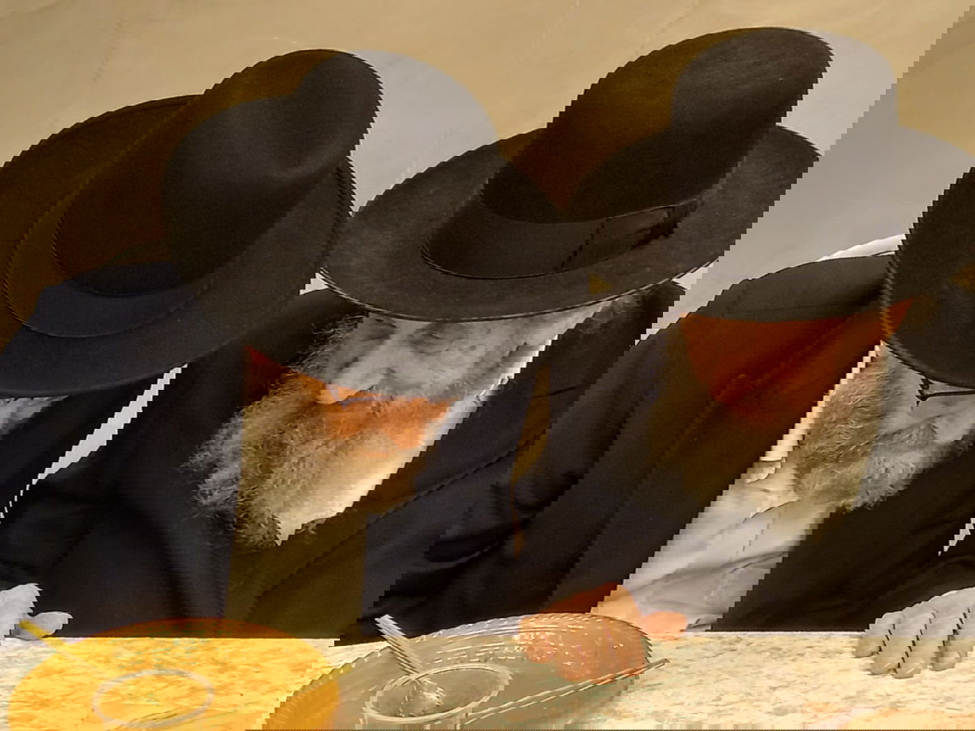 זופניק בכיכר • כל התמונות, הנייעס והחשיפות של המלחמה