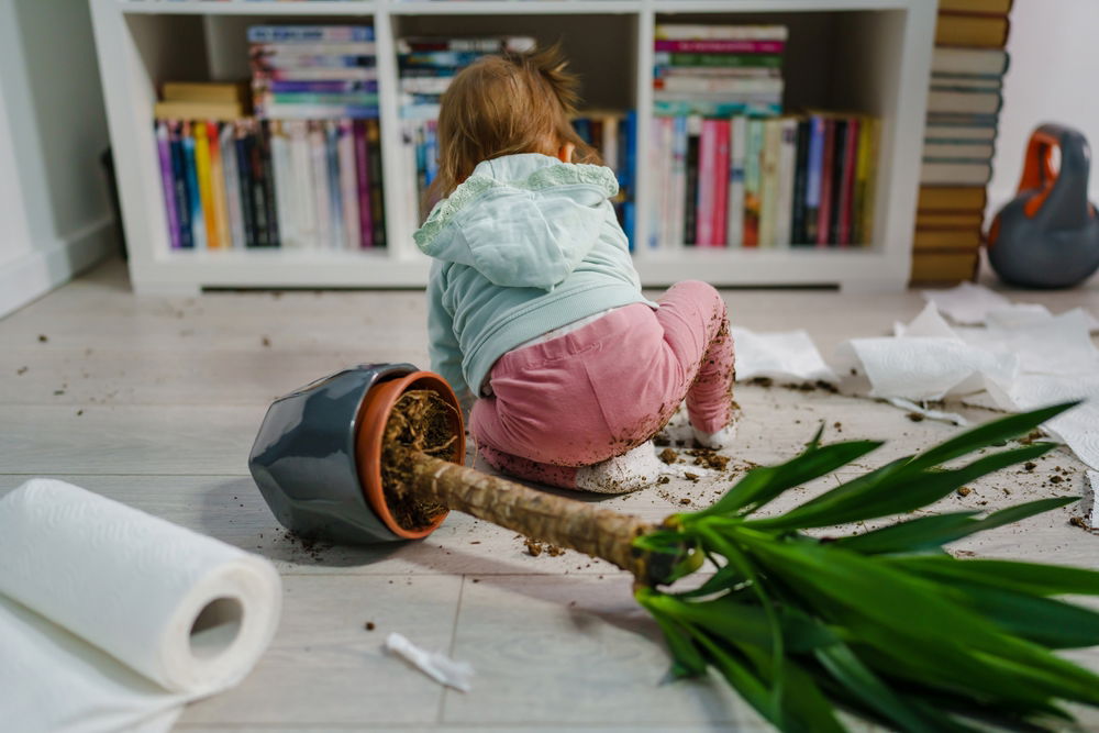 בתוך הצחוק והמשחק, שמירה על בית נקי והיגייני יכול להיות אתגר אמיתי!