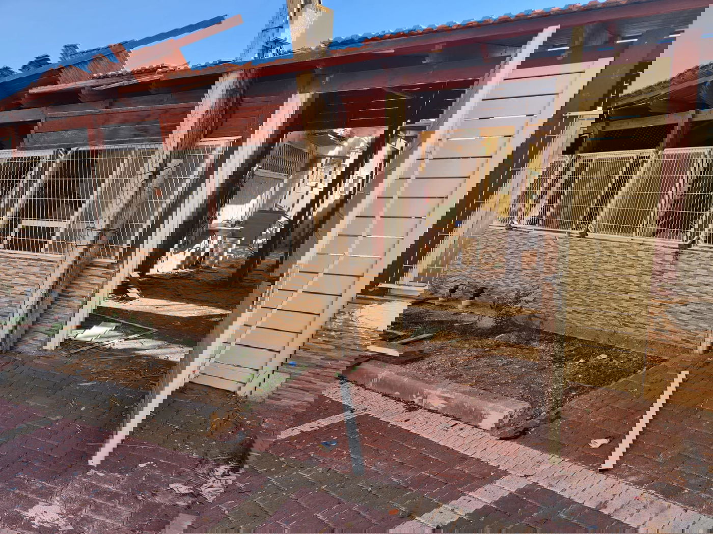 הנפילה בבית הכנסת