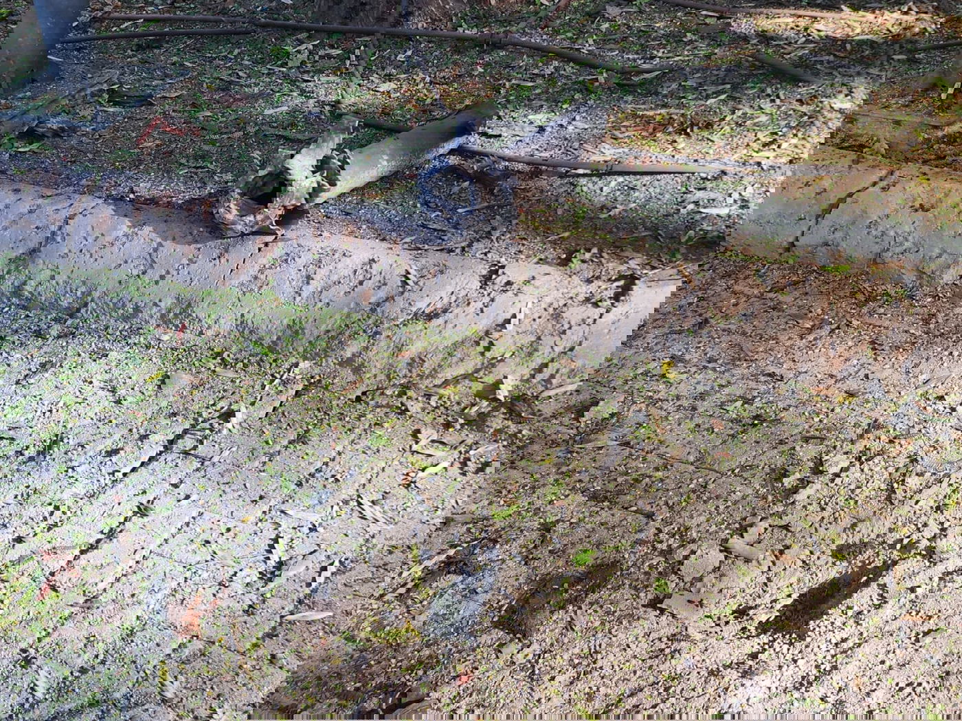 צה"ל החל לפעול קרקעית גם בדרום רצועת עזה | 12 נפצעו מירי נ"ט מלבנון | כל העדכונים