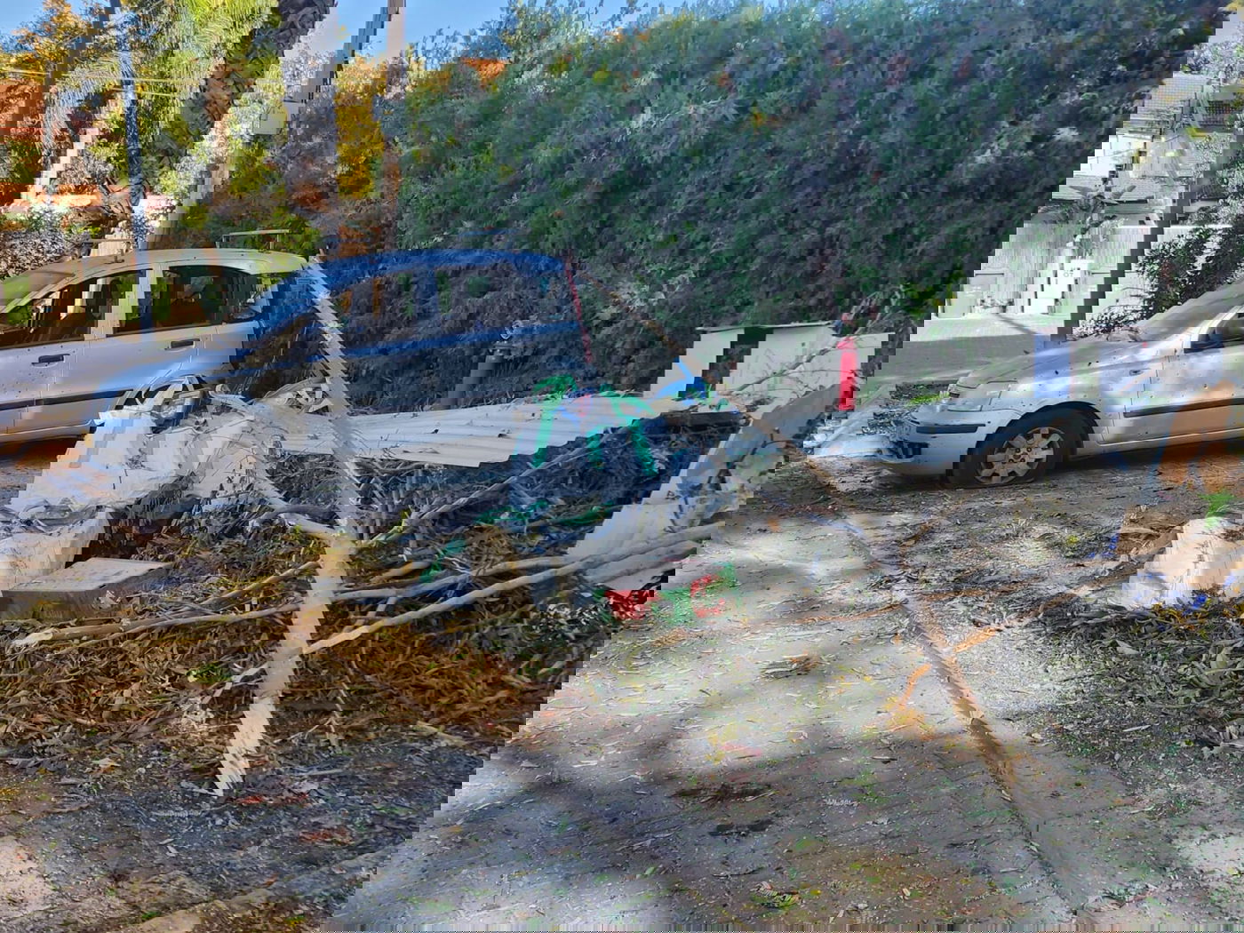 צה"ל החל לפעול קרקעית גם בדרום רצועת עזה | 12 נפצעו מירי נ"ט מלבנון | כל העדכונים