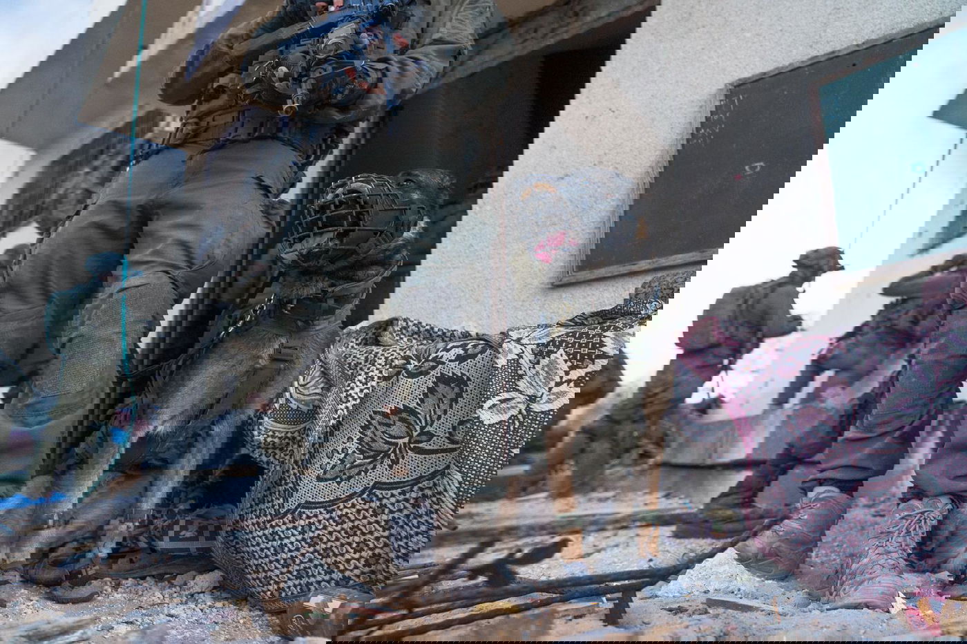 פעילות כוחות צה"ל ברצועת עזה