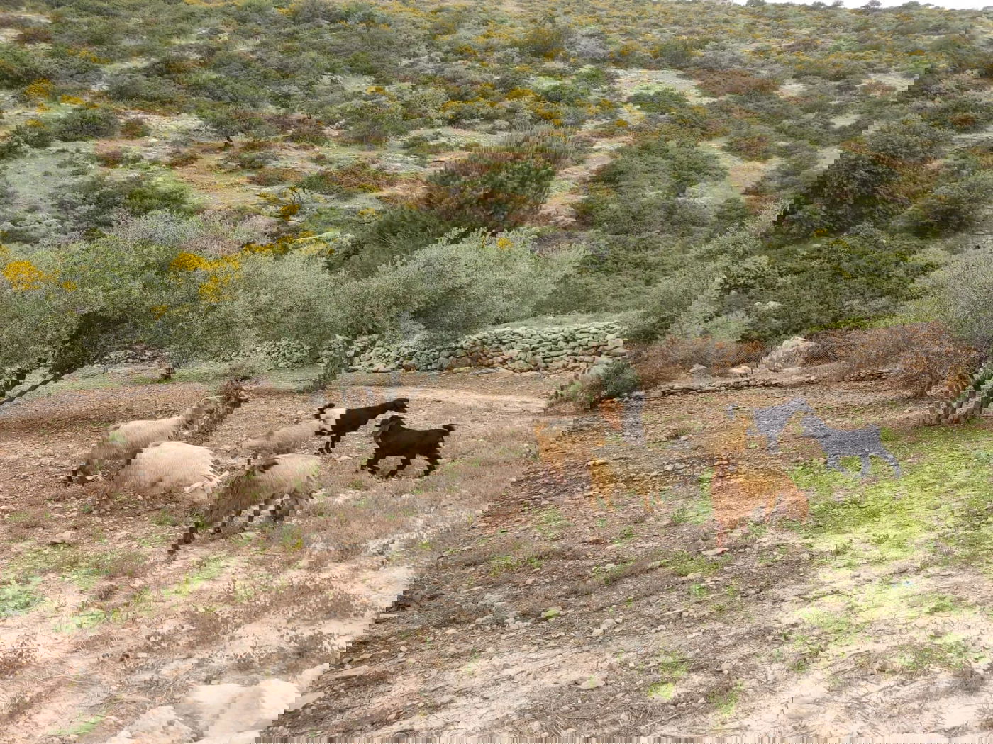 היום ימשיך להיות חם