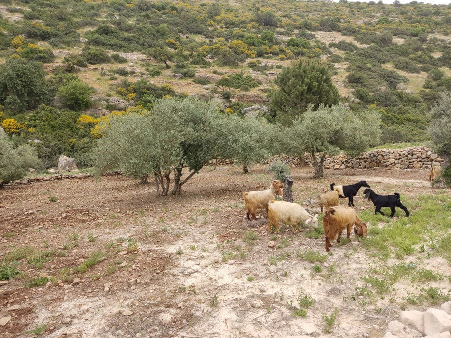 היום ימשיך להיות חם