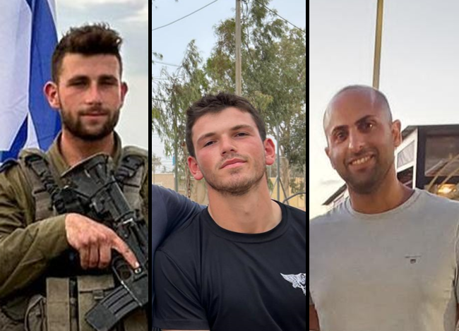 שאער נידהם ובן זוסמן