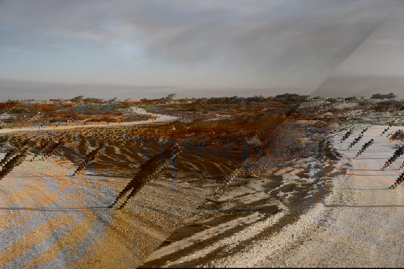 החיילים בעזה