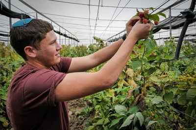 משרד החינוך מפעיל מערך התנדבות