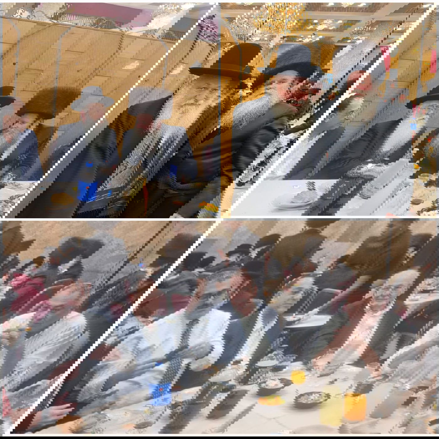 זופניק בכיכר • כל התמונות, הנייעס והחשיפות של השבוע