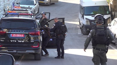 פעילות המשטרה 