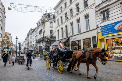 בריסל. תיאסר כניסת 'מתנחלים קיצונים'