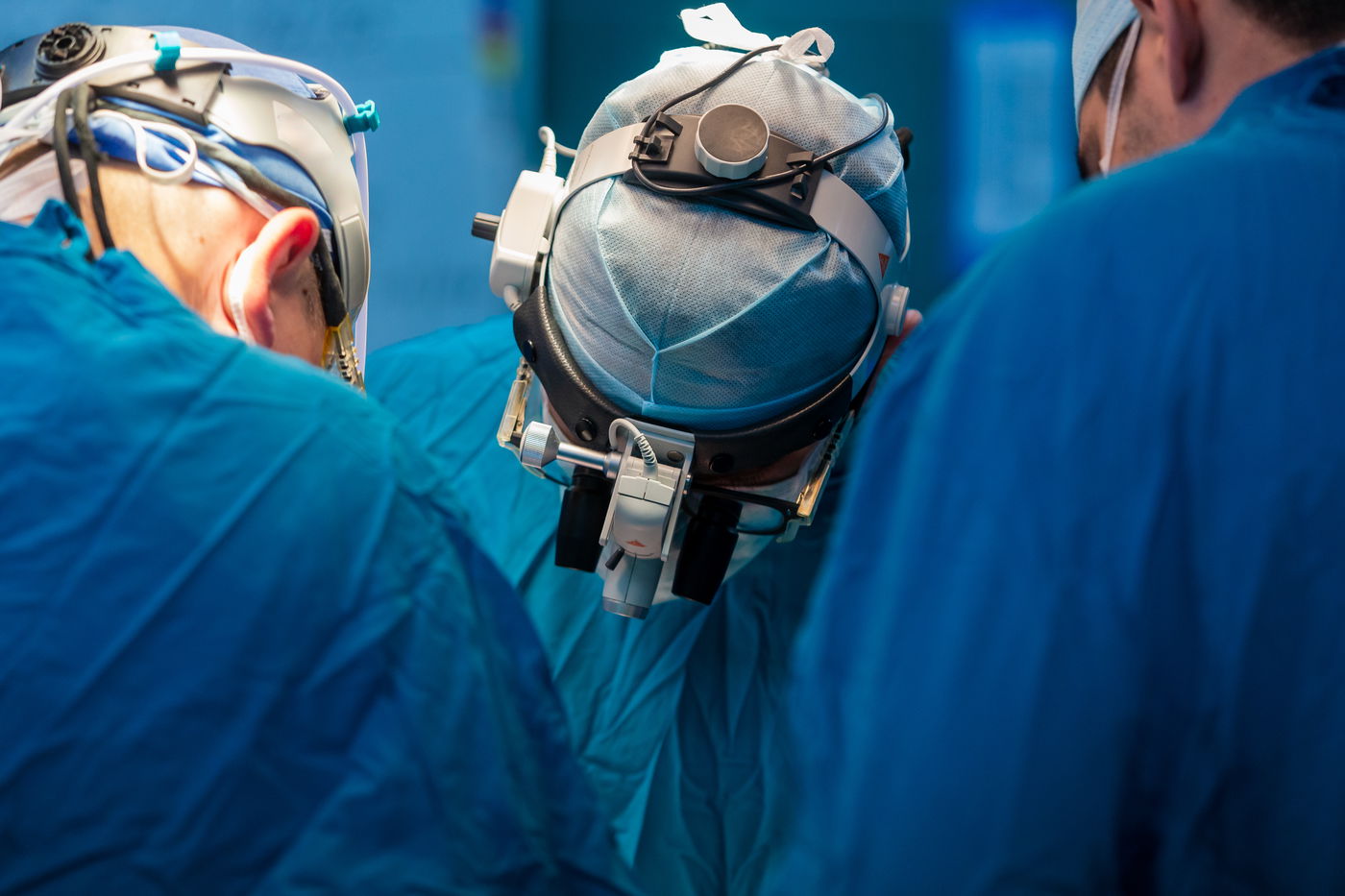 השתלה| אילוסטרציה