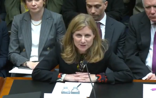 ליז מגיל - התפטרה מתפקידה