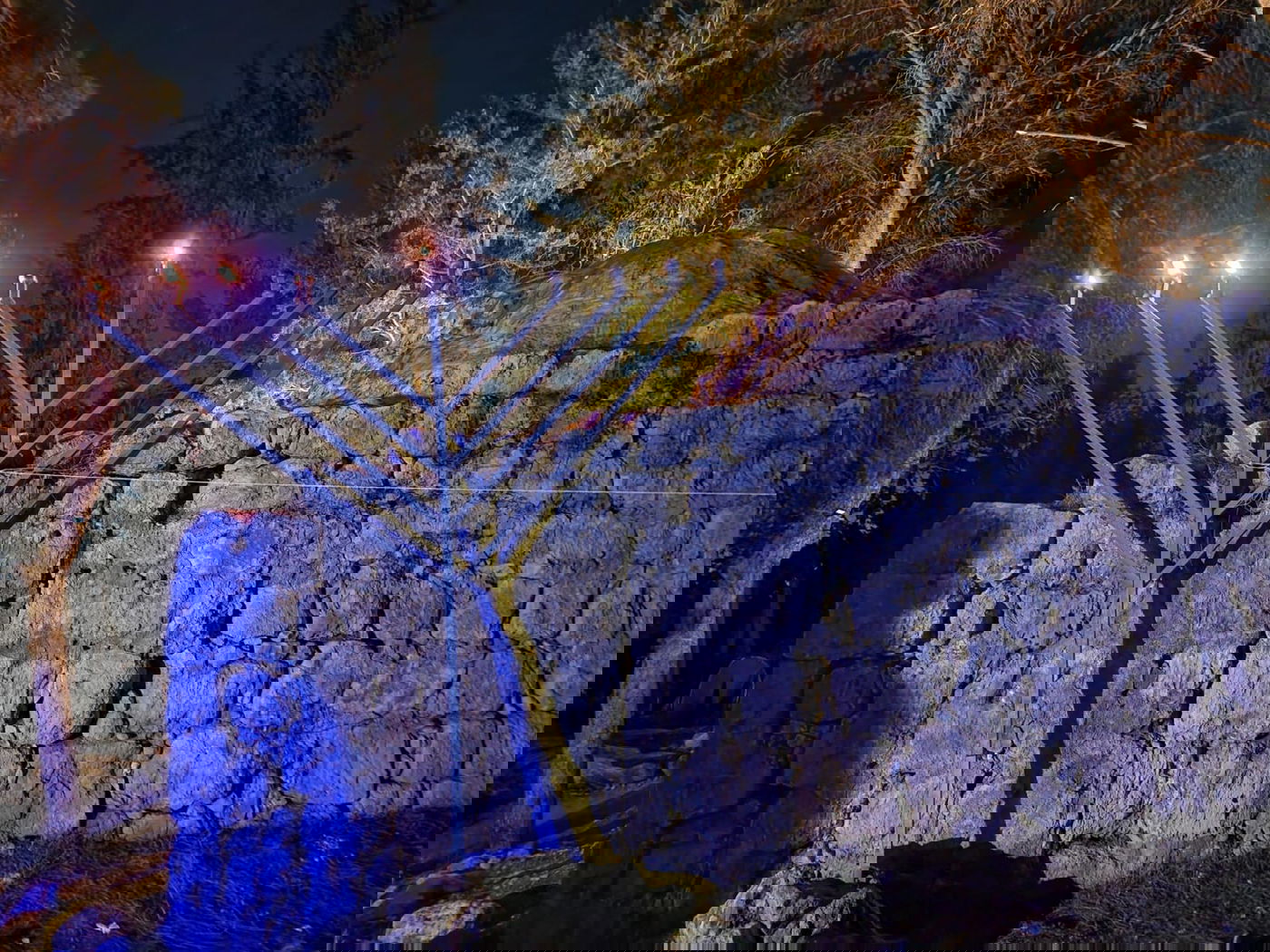 קרוב לחצות הלילה: המונים חגגו בקבר מתתיהו ובניו | כך זה נראה